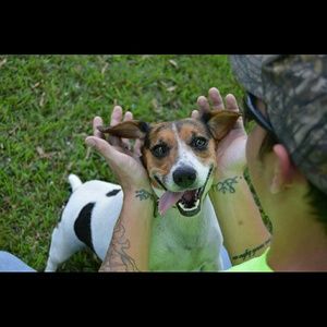 Meet your Posher, William