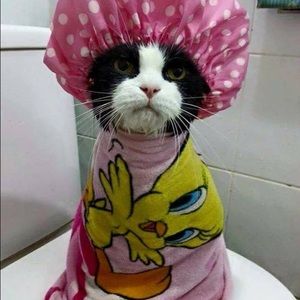 Meet your Posher, Tracey