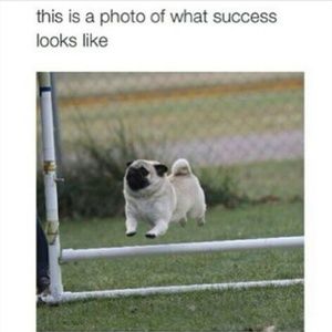 Meet your Posher, Chrissy