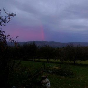 Meet your Posher, Rhonda