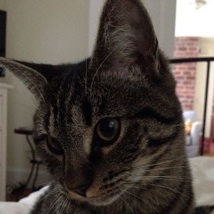 Meet your Posher, Jenifer