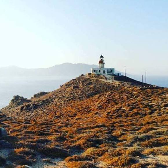 Meet your Posher, Karen - Picture 1 of 1