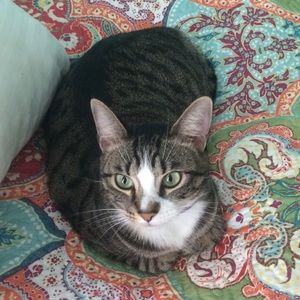 Meet your Posher, Heather