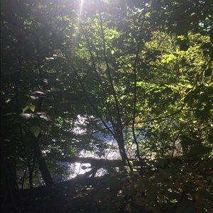 Meet your Posher, Jillian