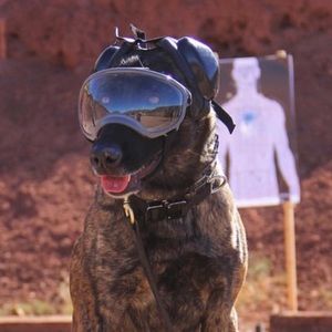 Meet your Posher, Al