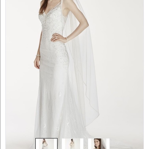 David's Bridal Beaded Edge Walking Veil