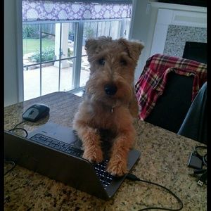 Meet your Posher, Tess