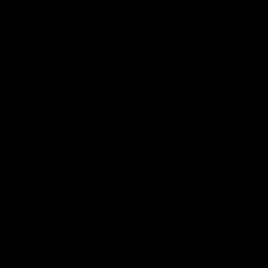 Meet your Posher, Destiny