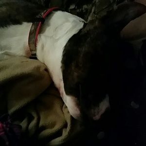 Meet your Posher, Colleen