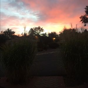 Meet your Posher, Ally