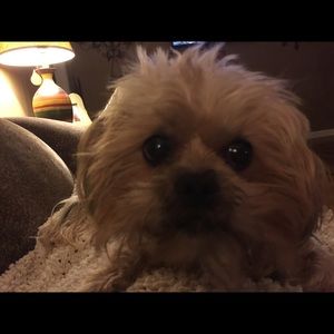 Meet your Posher, Wendy