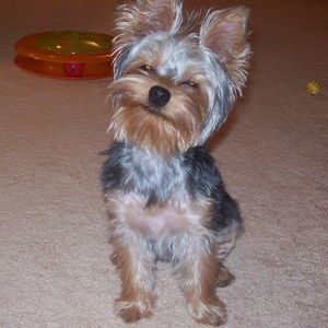 Meet your Posher, Tracy