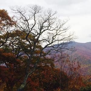 Meet your Posher, Patti