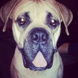 Meet your Posher, Terrence