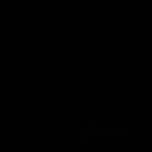 Meet your Posher, Maricela