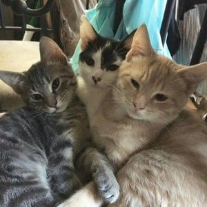 Meet your Posher, Rebecca