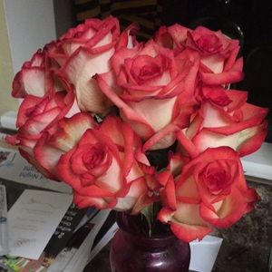 Meet your Posher, Kendell