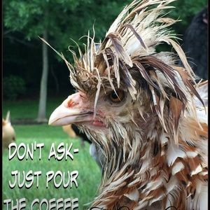 Meet your Posher, Brenda