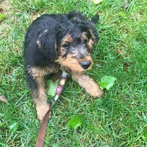 Meet your Posher, Christine