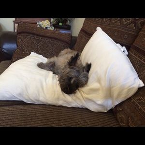 Meet your Posher, Anon