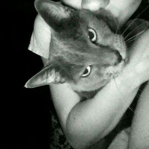 Meet your Posher, Sydney