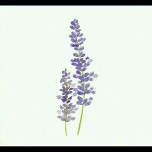 Meet your Posher, Blake