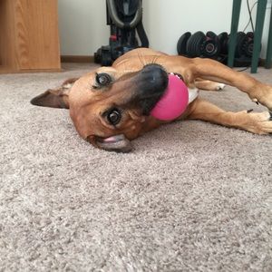 Meet your Posher, Amber