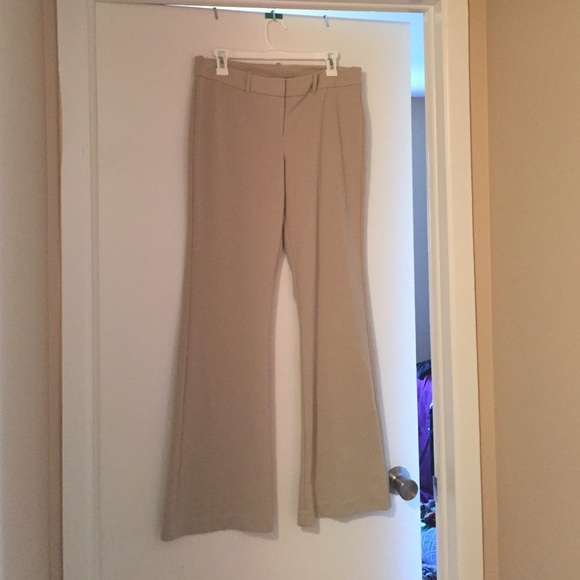 Express Dress Pants