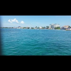 Meet your Posher, Celia