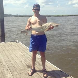 Meet your Posher, Max