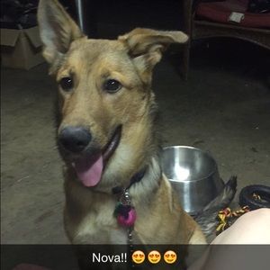 Meet your Posher, Grace