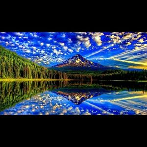 Meet your Posher, Shelley