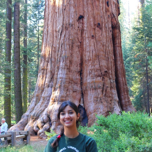 Meet your Posher, Anu - Picture 2 of 6
