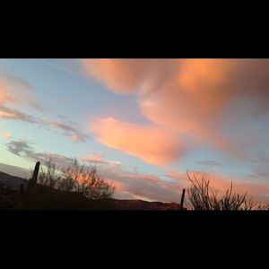 Meet your Posher, Sophia