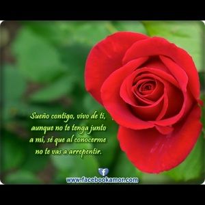 Meet your Posher, Karina