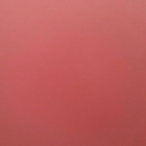 Meet your Posher, Joy