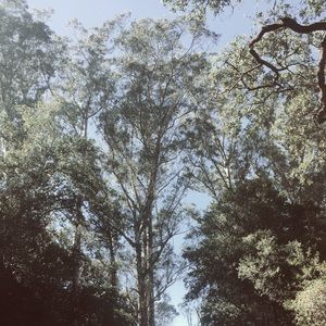 Meet your Posher, Daniela