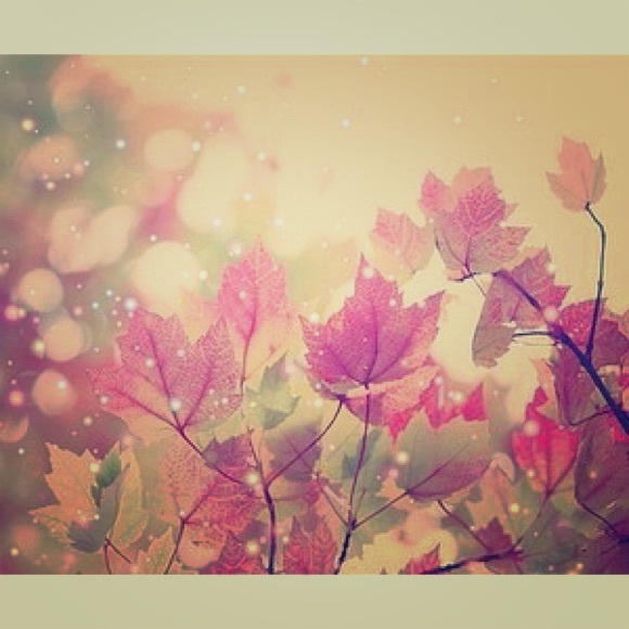 Bundle for @snowykennedy!!