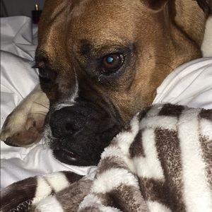 Meet your Posher, Abigail