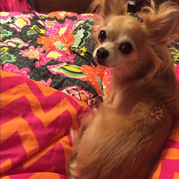 Meet your Posher, Teresa - Picture 3 of 3