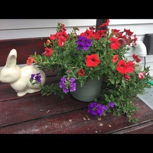 Meet your Posher, Kari