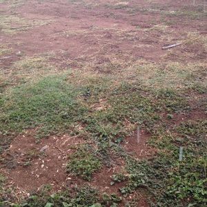 Meet your Posher, Tanya