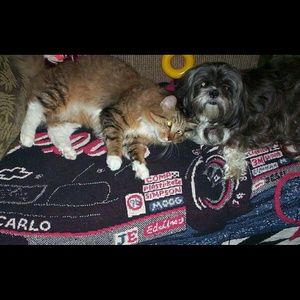 Meet your Posher, Luci