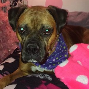 Meet your Posher, Cheryl