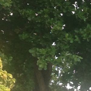 Meet your Posher, Joella