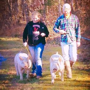 Meet your Posher, Darrenandcarly