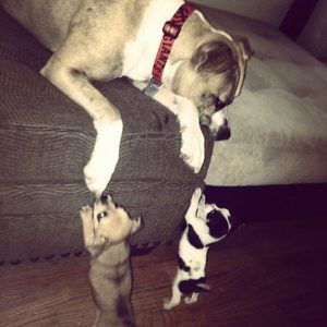 Meet your Posher, Tina