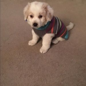 Meet your Posher, Desiree