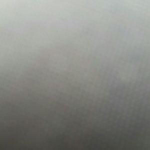 Meet your Posher, Jessie