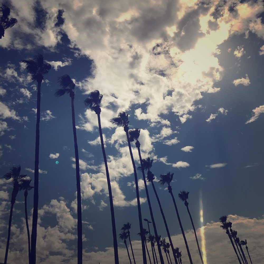 Meet your Posher, Gladys